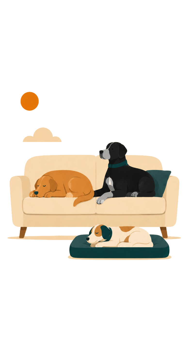 Perros descansando en un sillón